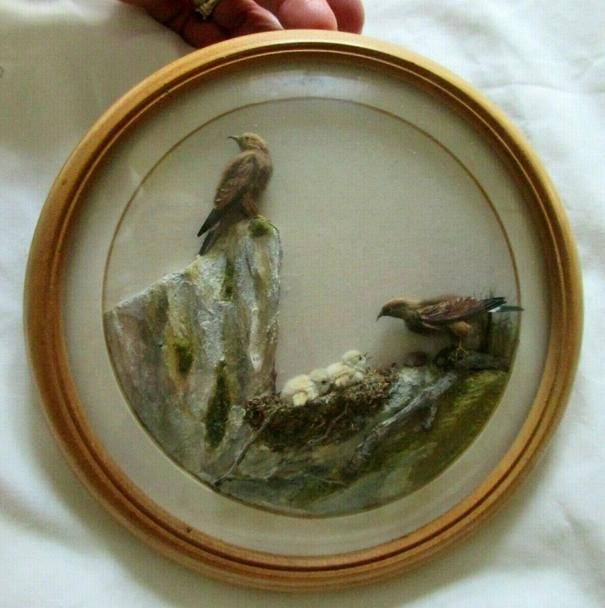 Golden Eagle and Young (7-inch)